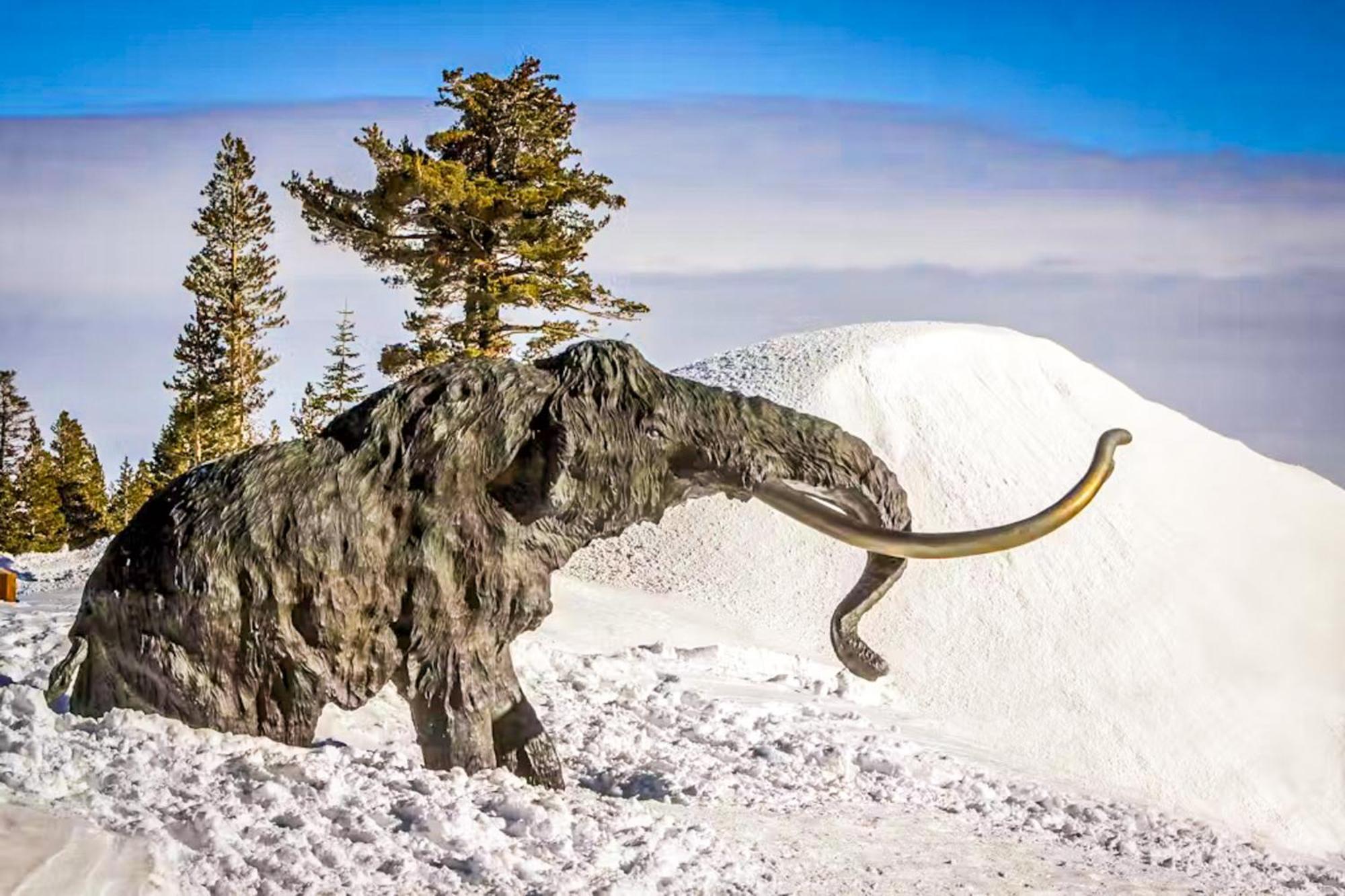 Snowflower 21 Mammoth Lakes Ngoại thất bức ảnh